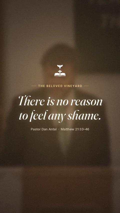 The cover of a sermon clip from The Beloved Vineyard: There is no reason to feel any shame. Pastor Dan Antal, Matthew 21:33–46.